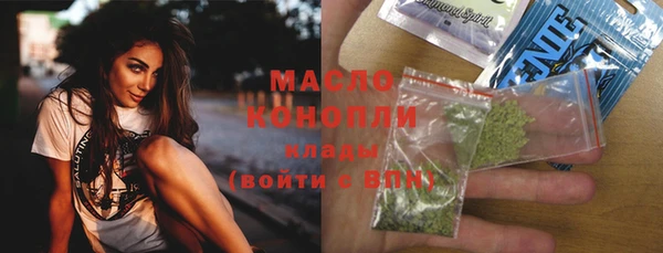 твердый Гусев
