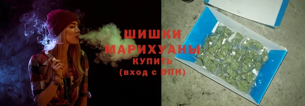 твердый Гусев