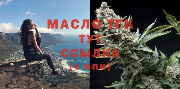 меф Дмитриев