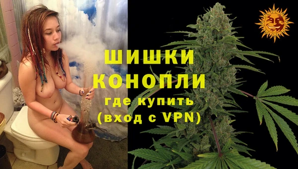 меф Дмитриев