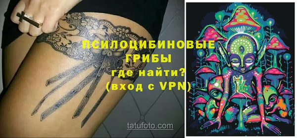 твердый Гусев