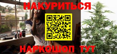 индика Пугачёв