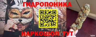 индика Пугачёв