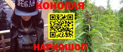 индика Пугачёв