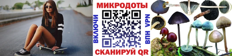 Псилоцибиновые грибы Cubensis  что такое   Курган 