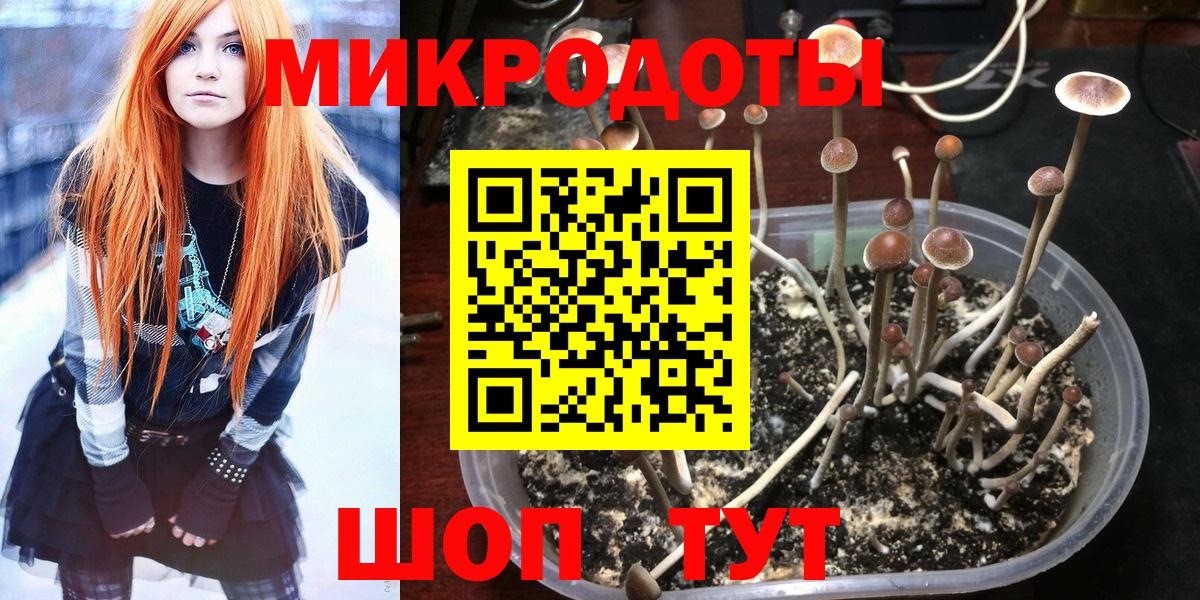 Галлюциногенные грибы Magic Shrooms  Вход с VPN  Курган 