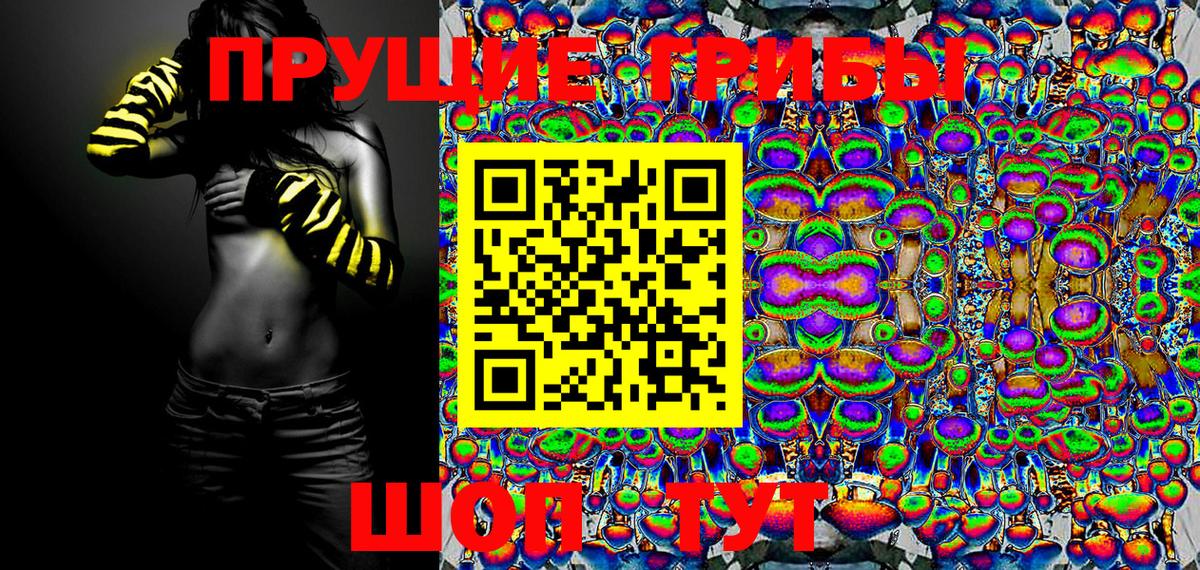 Галлюциногенные грибы Cubensis Курган